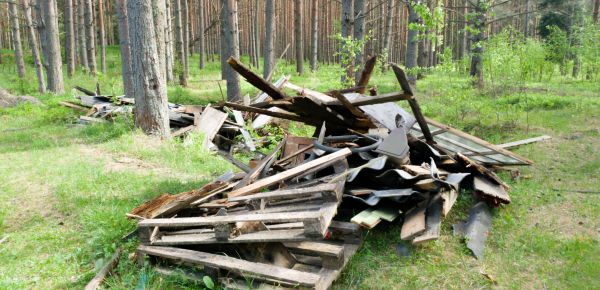 Debris Removal Service in Madison