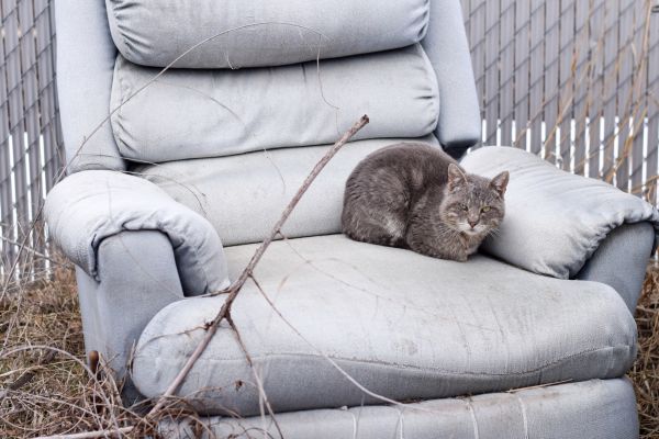 Recliner Disposal in Madison