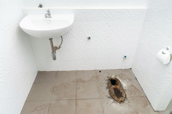 Toilet Disposal in Madison